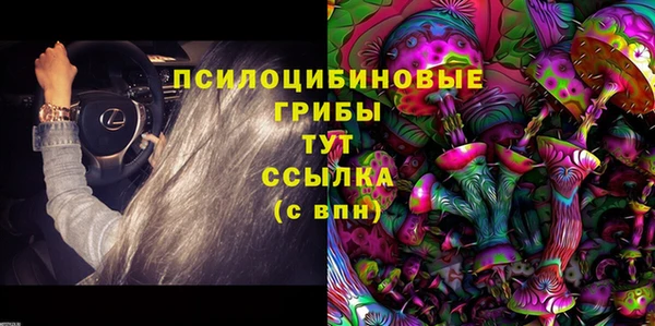 мяу мяу мука Алексеевка
