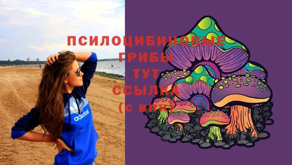 прущие грибы Алексин
