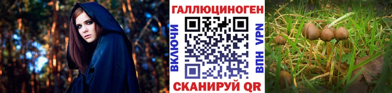 Псилоцибиновые грибы мухоморы  наркошоп  Касимов 
