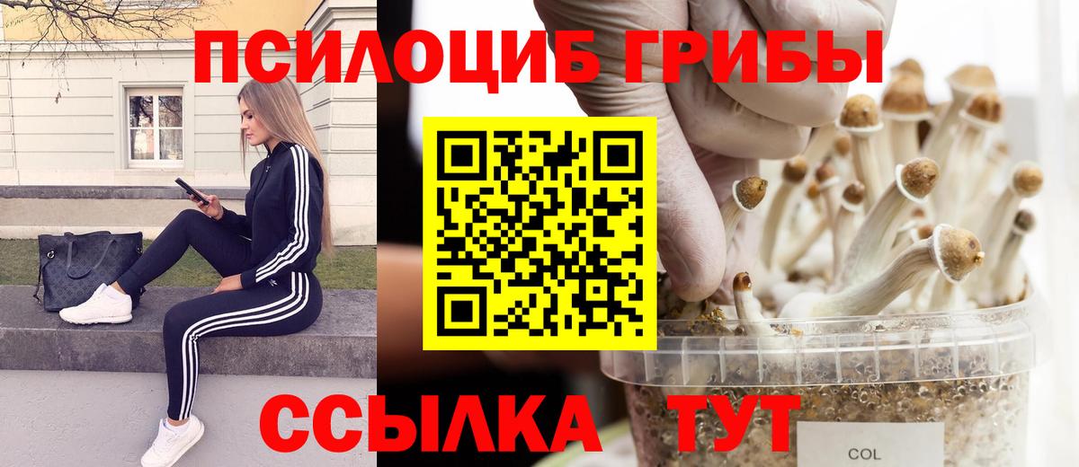Галлюциногенные грибы ЛСД Касимов