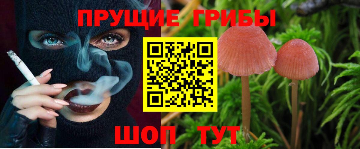 Касимов  Псилоцибиновые грибы ЛСД  Вход с VPN  Галлюциногенные грибы Psilocybine cubensis 